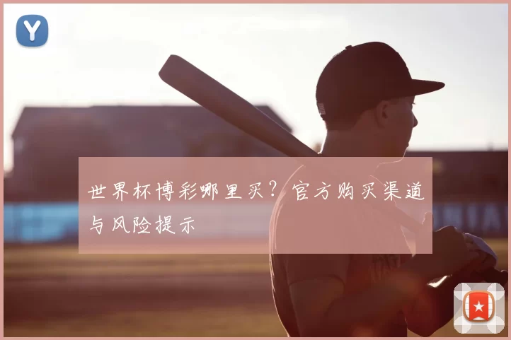 世界杯博彩哪里买？官方购买渠道与风险提示