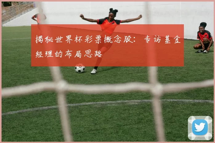 揭秘世界杯彩票概念股:专访基金经理的布局思路