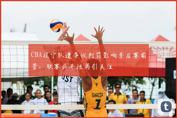 CBA辽宁队遭争议判罚影响季后赛前景，联赛公平性再引关注