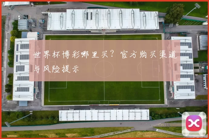 世界杯博彩哪里买？官方购买渠道与风险提示