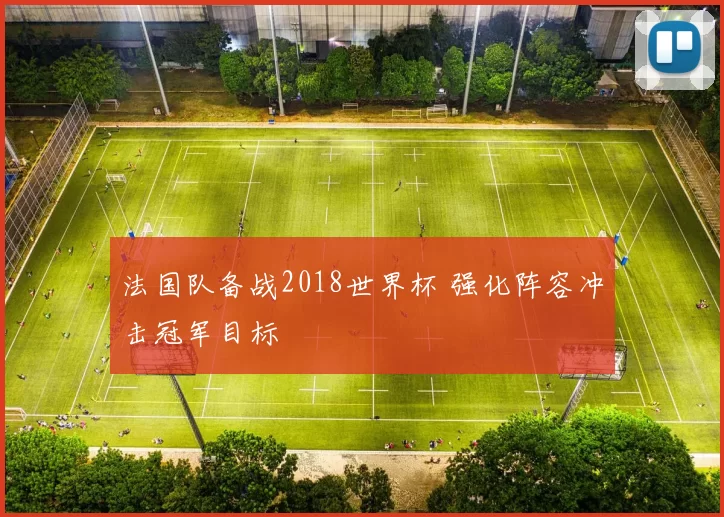 法国队备战2018世界杯 强化阵容冲击冠军目标