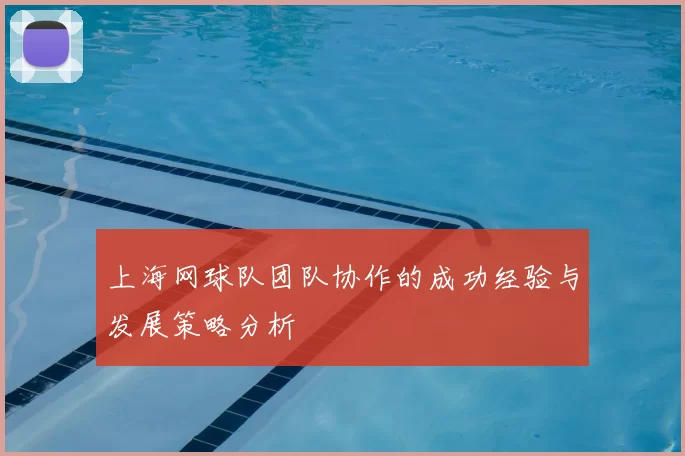 上海网球队团队协作的成功经验与发展策略分析