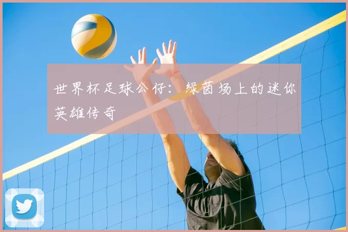 世界杯足球公仔：绿茵场上的迷你英雄传奇