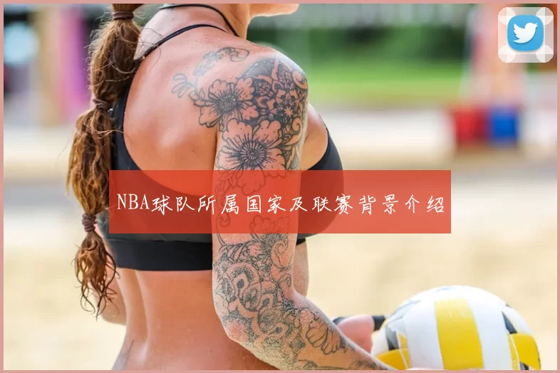 NBA球队所属国家及联赛背景介绍