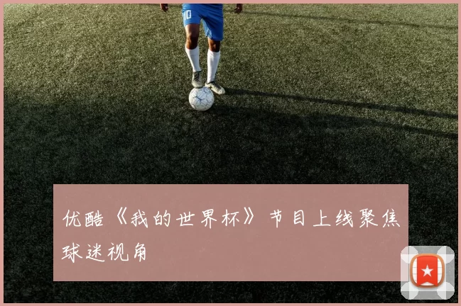 优酷《我的世界杯》节目上线聚焦球迷视角