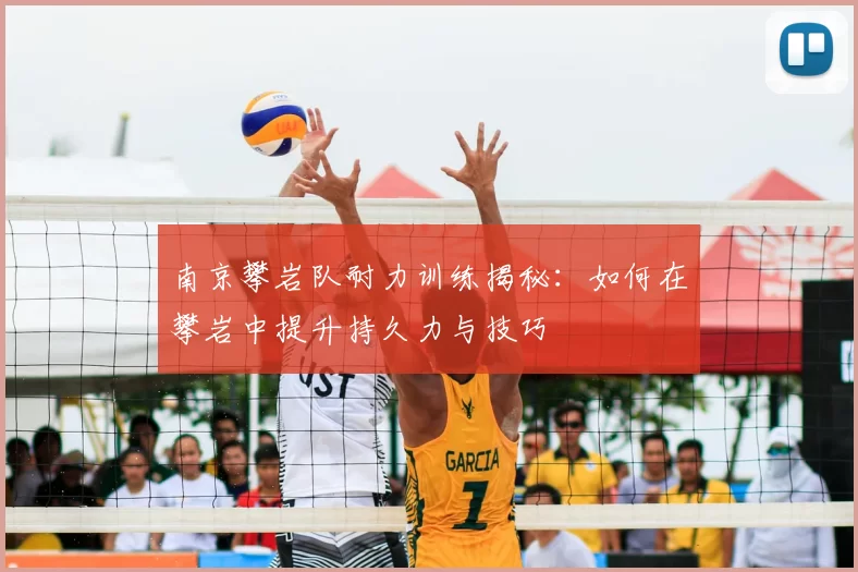 南京攀岩队耐力训练揭秘:如何在攀岩中提升持久力与技巧