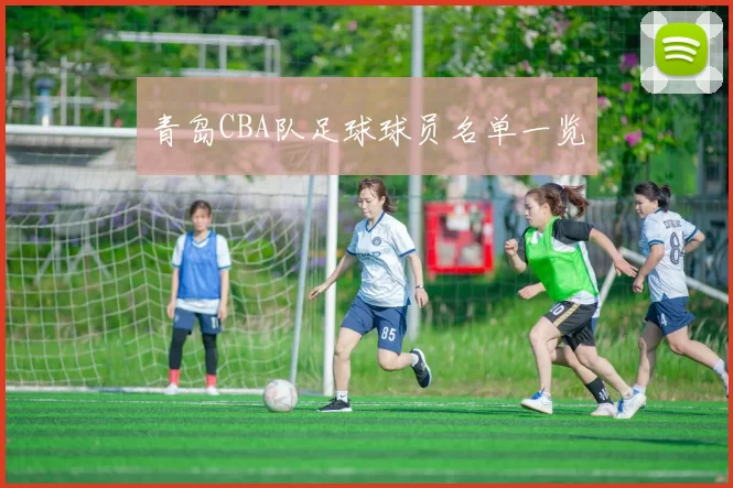 青岛CBA队足球球员名单一览
