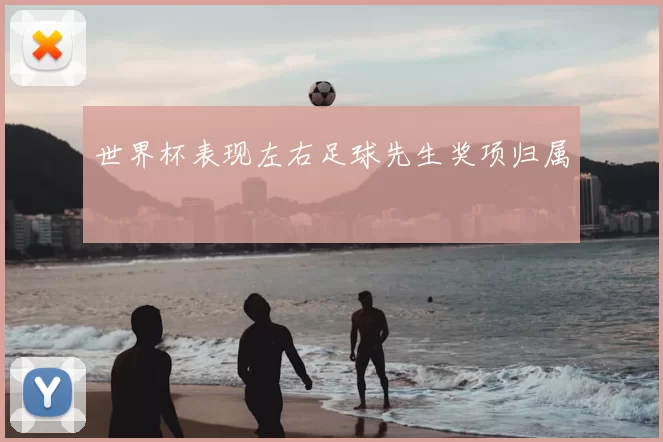 世界杯表现左右足球先生奖项归属