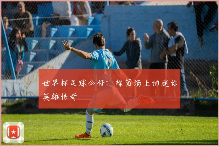 世界杯足球公仔：绿茵场上的迷你英雄传奇