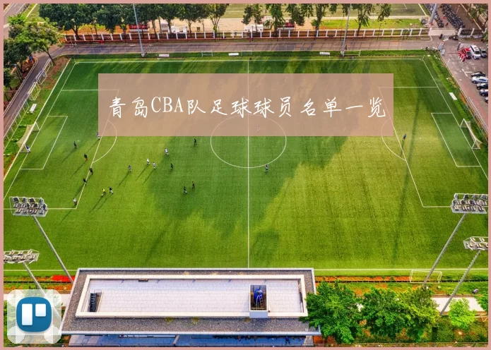 青岛CBA队足球球员名单一览