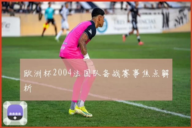 欧洲杯2004法国队备战赛事焦点解析
